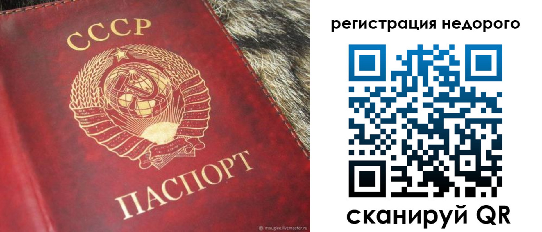 прописка ребенка в Клинцах